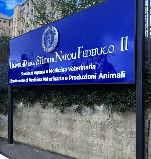 Insegne a Rilievo Luminose e non